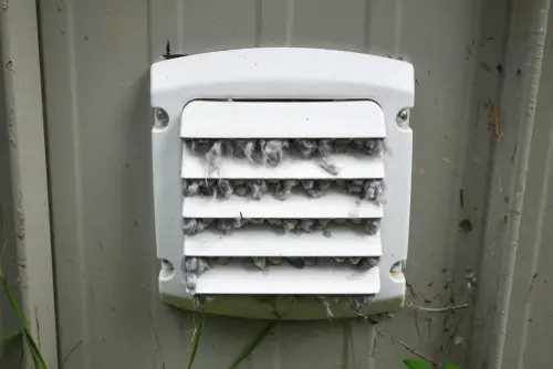 Close-up of dryer vent exterior wall plate overflowing with lint