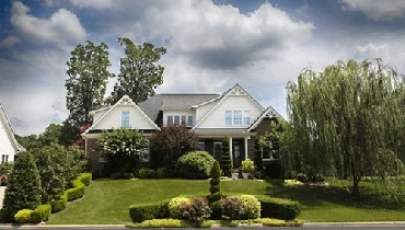 White home with manicured landscping.